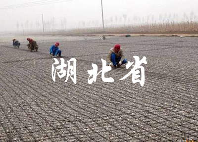 ����ʡ���̰���